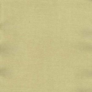 Charm Sauterne by Norbar Fabric
