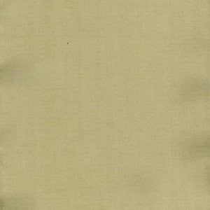 Charm Soapstone by Norbar Fabric 100% POLYESTER INDIA 54" - Fabric Carolina -