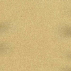 Charm Toast by Norbar Fabric 100% POLYESTER INDIA 54" - Fabric Carolina -