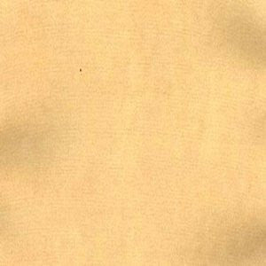 Charm Wheat by Norbar Fabric