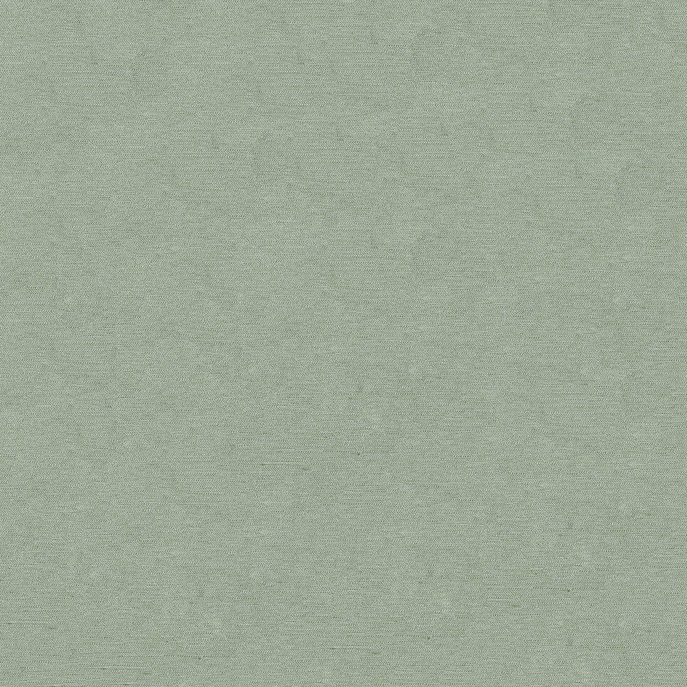 Pursue 21 Mint by ABBEYSHEA Fabric N/A 78% Polyester, 22% Rayon China 170,000 Double Rubs </p><p>Repeat: Horizontal: and Vertical: 54" (137 cm) - Fabric Carolina -