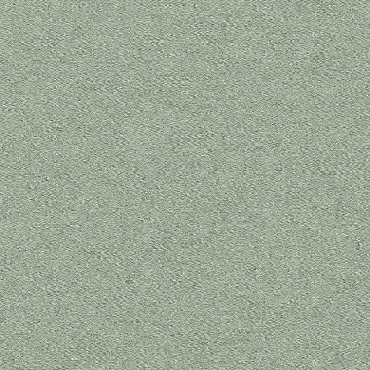 Pursue 21 Mint by ABBEYSHEA Fabric N/A 78% Polyester, 22% Rayon China 170,000 Double Rubs </p><p>Repeat: Horizontal: and Vertical: 54" (137 cm) - Fabric Carolina -