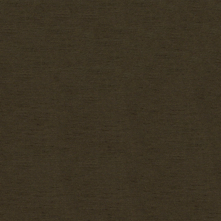 Pursue 8006 Acorn by ABBEYSHEA Fabric N/A 78% Polyester, 22% Rayon China 170,000 Double Rubs </p><p>Repeat: Horizontal: and Vertical: 54" (137 cm) - Fabric Carolina -