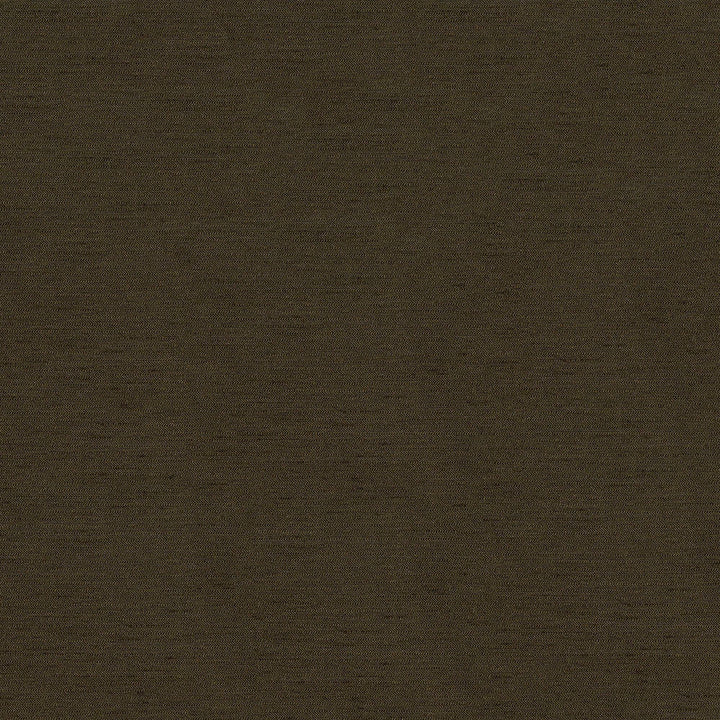 Pursue 8006 Acorn by ABBEYSHEA Designer Fabric N/A 78% Polyester, 22% Rayon China 170,000 Double Rubs </p><p>Repeat: Horizontal: and Vertical: 54" (137 cm) - Swanky Fabrics -