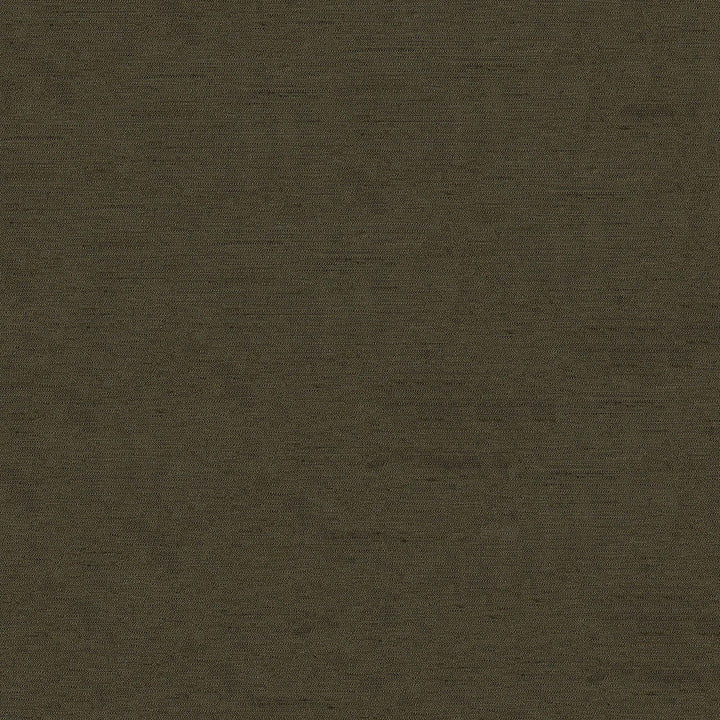 Pursue 805 Cedar by ABBEYSHEA Designer Fabric N/A 78% Polyester, 22% Rayon China 170,000 Double Rubs </p><p>Repeat: Horizontal: and Vertical: 54" (137 cm) - Swanky Fabrics -