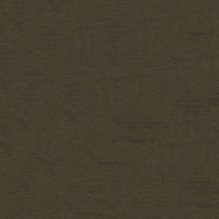 Pursue 805 Cedar by ABBEYSHEA Fabric N/A 78% Polyester, 22% Rayon China 170,000 Double Rubs </p><p>Repeat: Horizontal: and Vertical: 54" (137 cm) - Fabric Carolina -