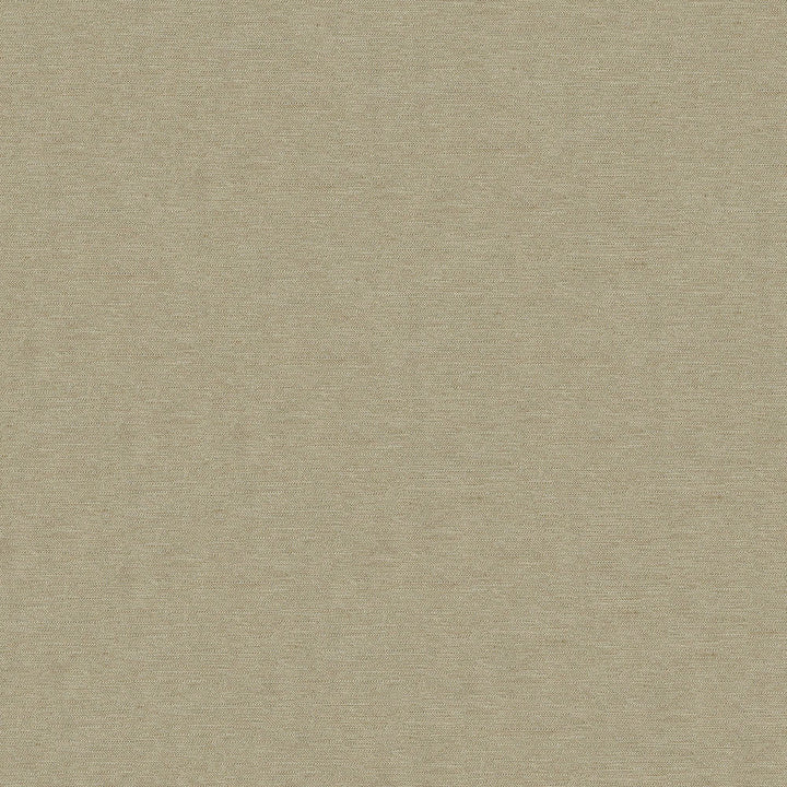 Pursue 81 Caramel by ABBEYSHEA Fabric N/A 78% Polyester, 22% Rayon China 170,000 Double Rubs </p><p>Repeat: Horizontal: and Vertical: 54" (137 cm) - Fabric Carolina -