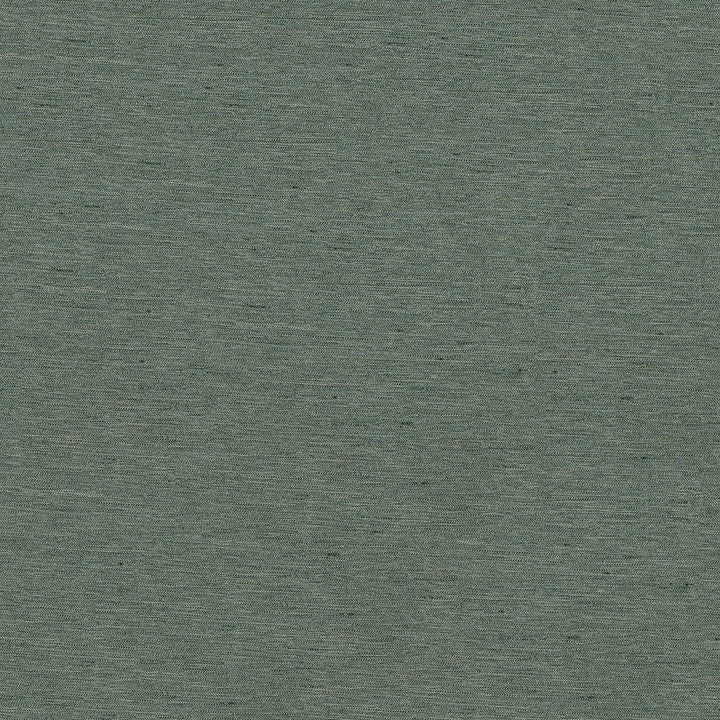 Pursue 9006 Graphite by ABBEYSHEA Fabric N/A 78% Polyester, 22% Rayon China 170,000 Double Rubs </p><p>Repeat: Horizontal: and Vertical: 54" (137 cm) - Fabric Carolina -