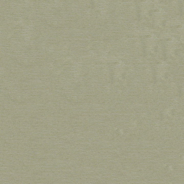 Pursue 902 Putty by ABBEYSHEA Fabric N/A 100% Polyester China 12,000 Double Rubs </p><p>Repeat: Horizontal: 14.25" (36.2 cm) Across the Roll and Vertical: 13.5" (34.2 cm) Up the Roll 54" (137 cm) - Fabric Carolina -