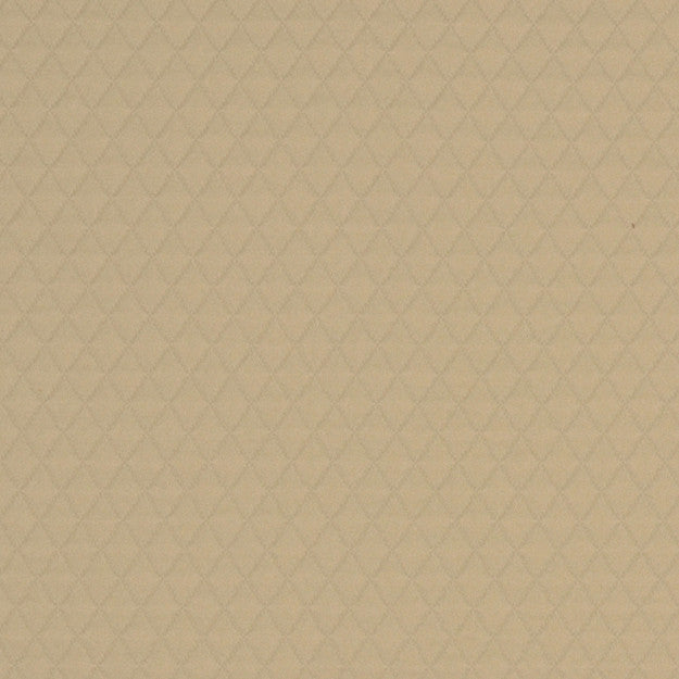 Chase 92J5081 by JF Fabric Earth Elements By Wesley Mancini 39% Polyester, 38% Cotton, 23% Rayon United States 105000 Horizontal: 0.5 and Vertical: 0.75 54 - Fabric Carolina -