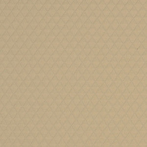 Chase 92J5081 by JF Fabric