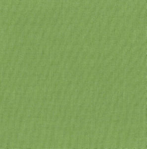 Chatham Celery 317 by Norbar Fabric SUNBURST 100% SOLUTION DYED ACRYLIC TAIWAN 54 - Fabric Carolina -