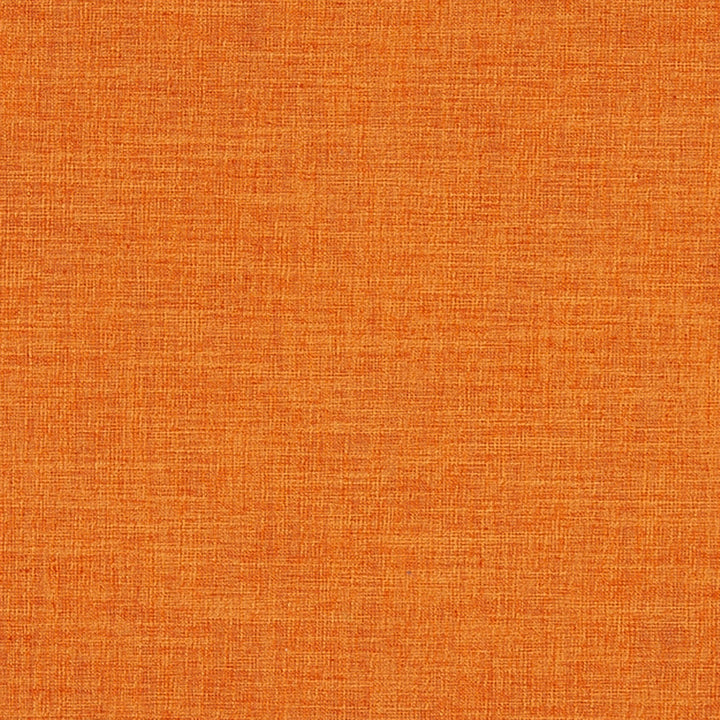 Chatham 26J7031 by JF Crypton Designer Fabric Crypton Binder 100% Polyester India 50000 Horizontal: and Vertical: 54 - Swanky Fabrics -