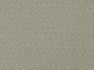 Cha Cha 110 Stonewash by Covington Fabric