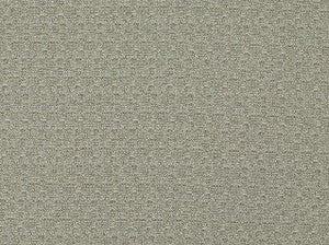 Cha Cha 110 Stonewash by Covington Fabric