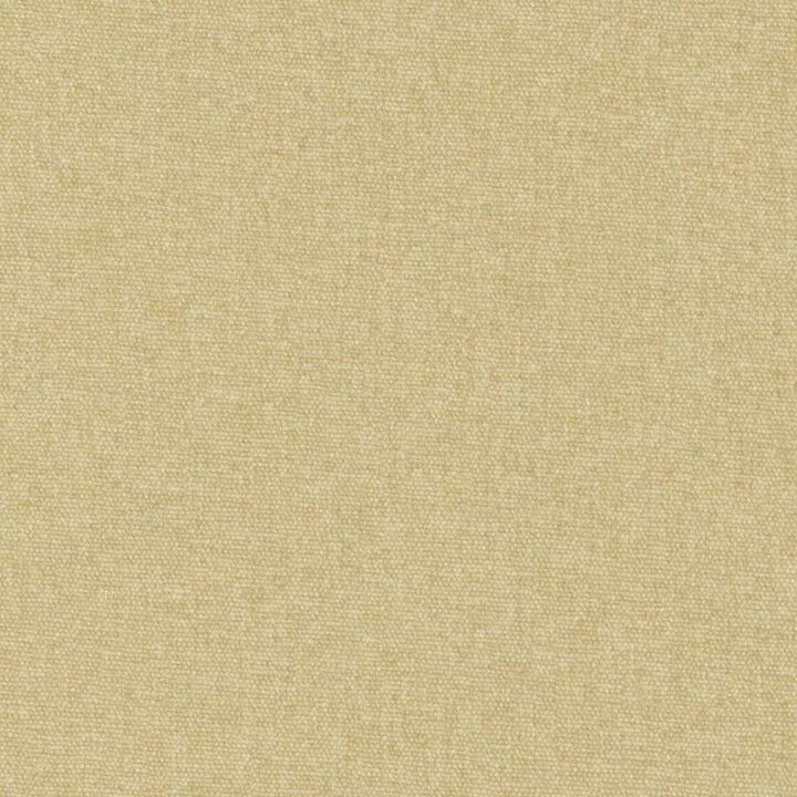Conte # 804 Oatmeal by Maxwell Fabric Curled Up Viii 100% POLYESTER INDIA 54" - Fabric Carolina -