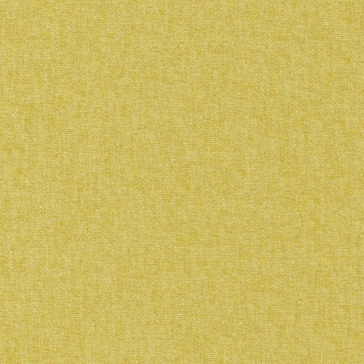 Conte # 805 Linden by Maxwell Fabric Curled Up Viii 100% POLYESTER INDIA 54" - Fabric Carolina -
