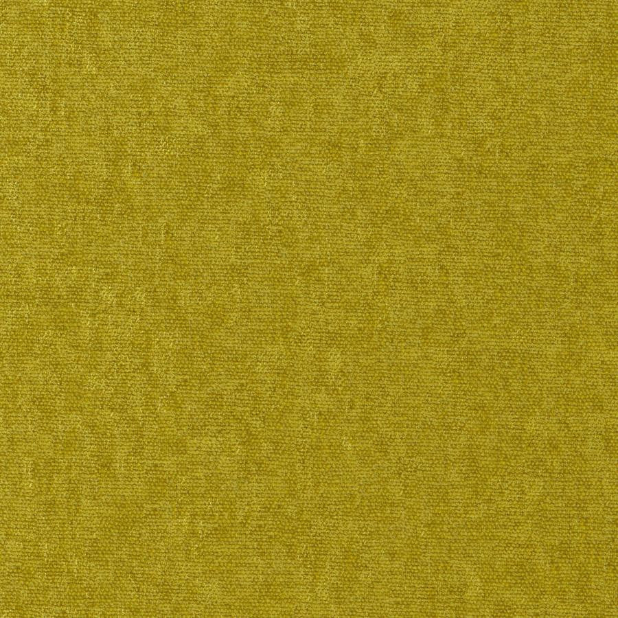 Conte # 806 Turtle by Maxwell Fabric Curled Up Viii 100% POLYESTER INDIA 54" - Fabric Carolina -