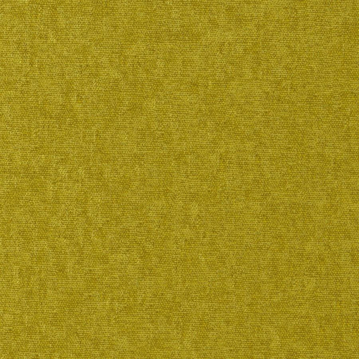 Conte # 806 Turtle by Maxwell Fabric Curled Up Viii 100% POLYESTER INDIA 54" - Fabric Carolina -