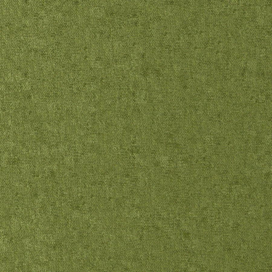 Conte # 811 Grass by Maxwell Fabric Curled Up Viii 100% POLYESTER INDIA 54" - Fabric Carolina -