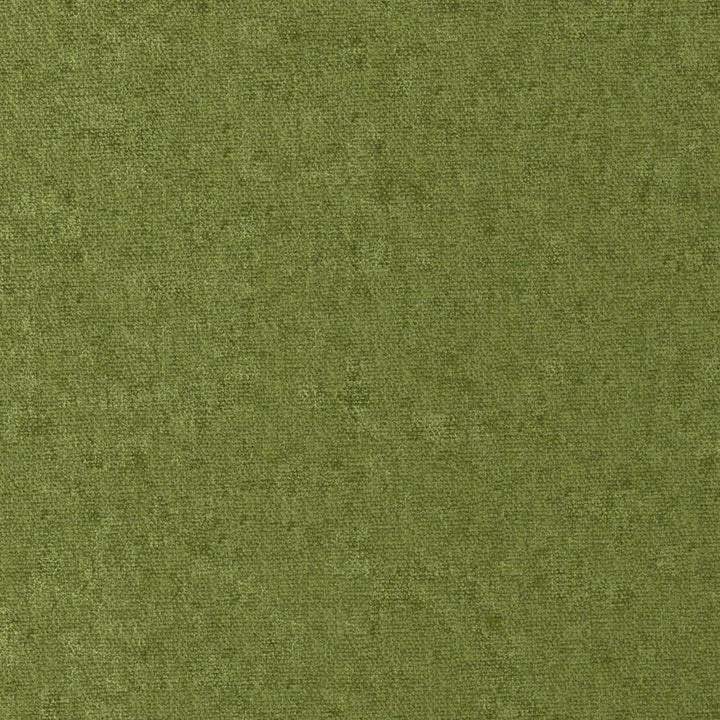 Conte # 811 Grass by Maxwell Fabric Curled Up Viii 100% POLYESTER INDIA 54" - Fabric Carolina -