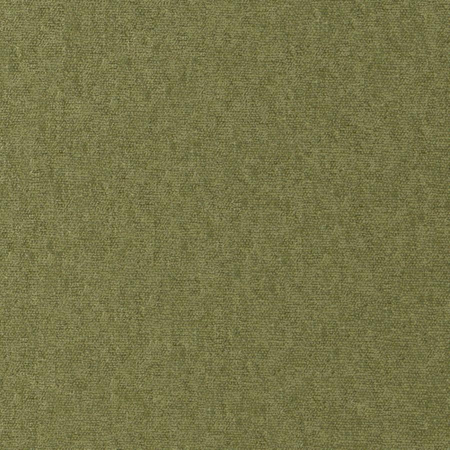 Conte # 812 Olive by Maxwell Fabric Curled Up Viii 100% POLYESTER INDIA 54" - Fabric Carolina -