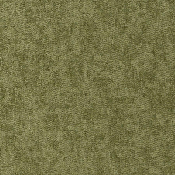 Conte # 812 Olive by Maxwell Fabric Curled Up Viii 100% POLYESTER INDIA 54" - Fabric Carolina -