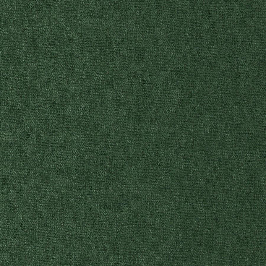 Conte # 818 Balsam by Maxwell Fabric Curled Up Viii 100% POLYESTER INDIA 54" - Fabric Carolina -