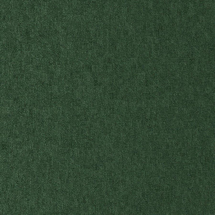 Conte # 818 Balsam by Maxwell Fabric Curled Up Viii 100% POLYESTER INDIA 54" - Fabric Carolina -