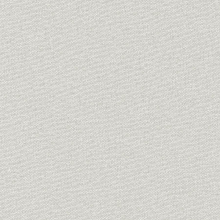 Conte # 857 Sterling by Maxwell Fabric Curled Up Viii 100% POLYESTER INDIA 54" - Fabric Carolina -