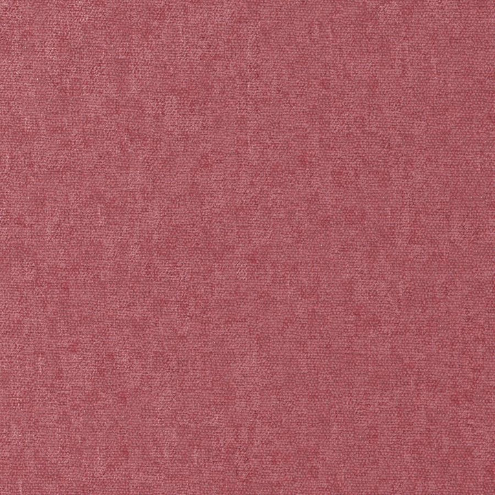 Conte # 881 Peony by Maxwell Fabric Curled Up Viii 100% POLYESTER INDIA 54" - Fabric Carolina -