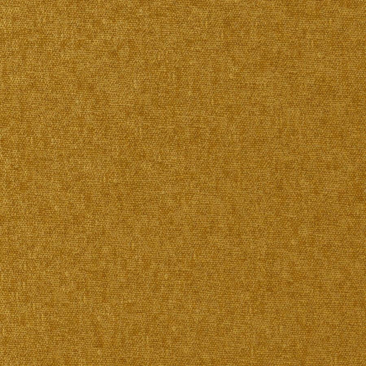 Conte # 903 Butterscotch by Maxwell Fabric Curled Up Viii 100% POLYESTER INDIA 54" - Fabric Carolina -