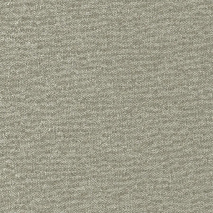 Conte # 905 Funghi by Maxwell Fabric Curled Up Viii 100% POLYESTER INDIA 54" - Fabric Carolina -
