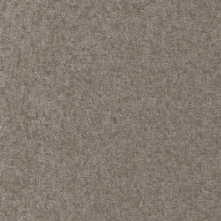 Conte # 907 Plaza by Maxwell Fabric Curled Up Viii 100% POLYESTER INDIA 54" - Fabric Carolina -