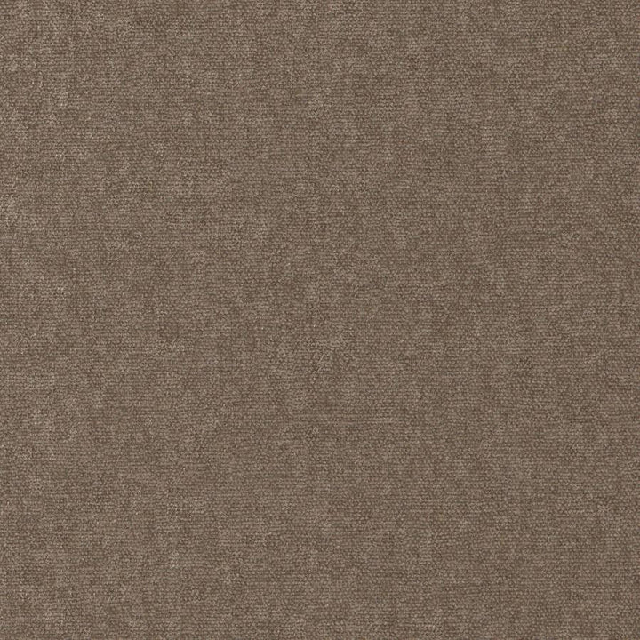 Conte # 911 Beaver by Maxwell Designer Fabric Curled Up Viii 100% POLYESTER INDIA 54" - Swanky Fabrics -