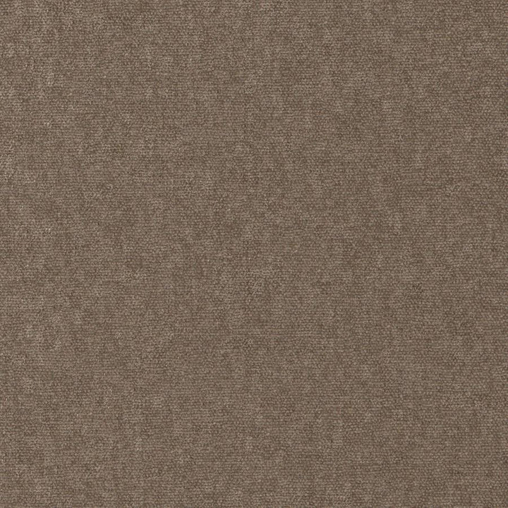 Conte # 911 Beaver by Maxwell Fabric Curled Up Viii 100% POLYESTER INDIA 54" - Fabric Carolina -