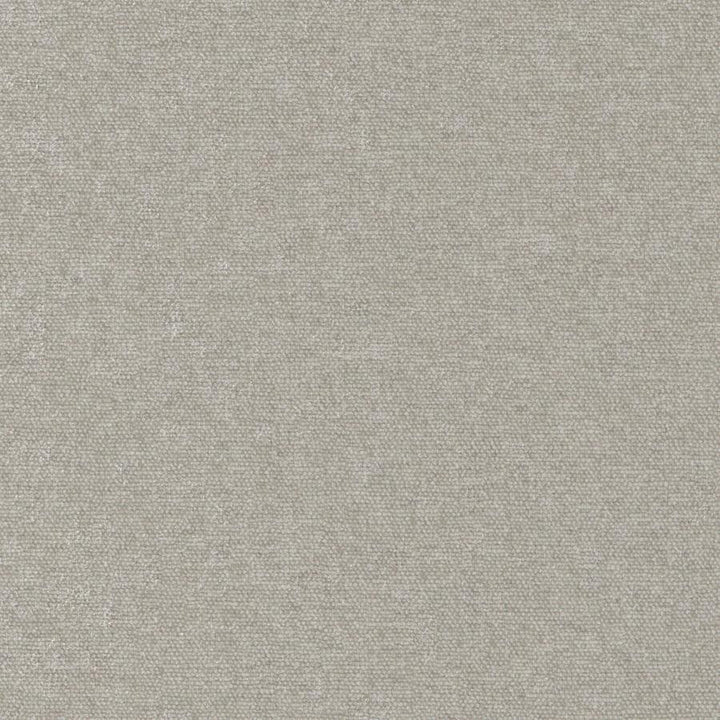 Conte # 923 Aluminium by Maxwell Fabric Curled Up Viii 100% POLYESTER INDIA 54" - Fabric Carolina -