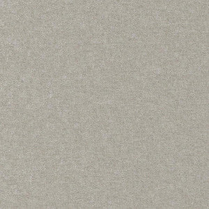Conte # 923 Aluminium by Maxwell Fabric