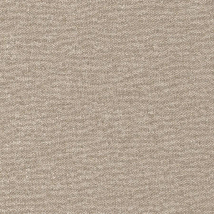 Conte # 928 Taupe by Maxwell Fabric Curled Up Viii 100% POLYESTER INDIA 54" - Fabric Carolina -