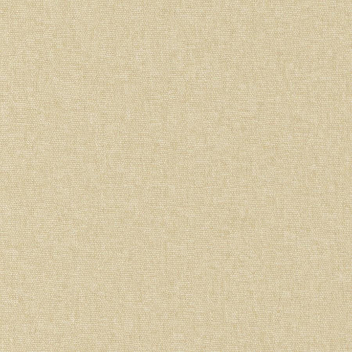 Conte # 948 Dune by Maxwell Fabric Curled Up Viii 100% POLYESTER INDIA 54" - Fabric Carolina -