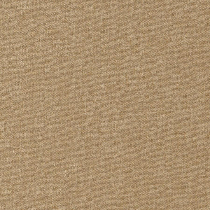 Conte # 951 Buff by Maxwell Fabric Curled Up Viii 100% POLYESTER INDIA 54" - Fabric Carolina -
