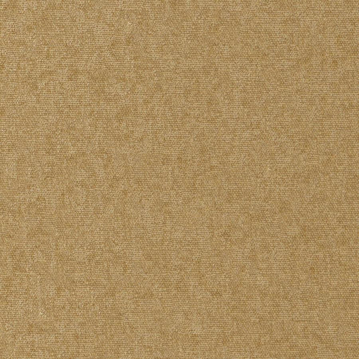 Conte # 952 Antelope by Maxwell Fabric Curled Up Viii 100% POLYESTER INDIA 54" - Fabric Carolina -