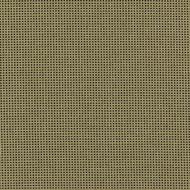 Chief 17J7351 by JF Designer Fabric Winning Weaves VI - Woven Book 90% Polyester, 10% Viscose India 120000 Horizontal: and Vertical: 57 - Swanky Fabrics -