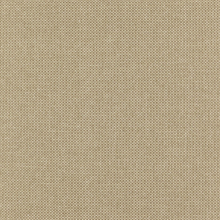 Chief 72J7351 by JF Designer Fabric Winning Weaves VI - Woven Book 90% Polyester, 10% Viscose India 120000 Horizontal: and Vertical: 57 - Swanky Fabrics -