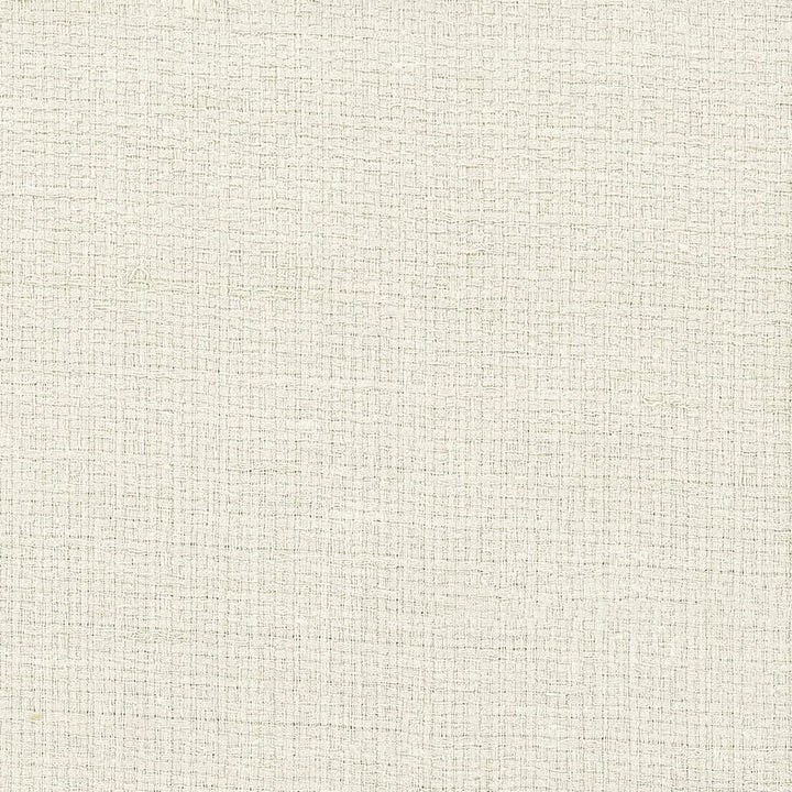Chipped 2 Pongee by Stout Fabric COLOR MY WINDOW SAND DUNE/JUTE 100%POL INDIA Horizontal: 0 and Vertical: 0 55 in - Fabric Carolina -