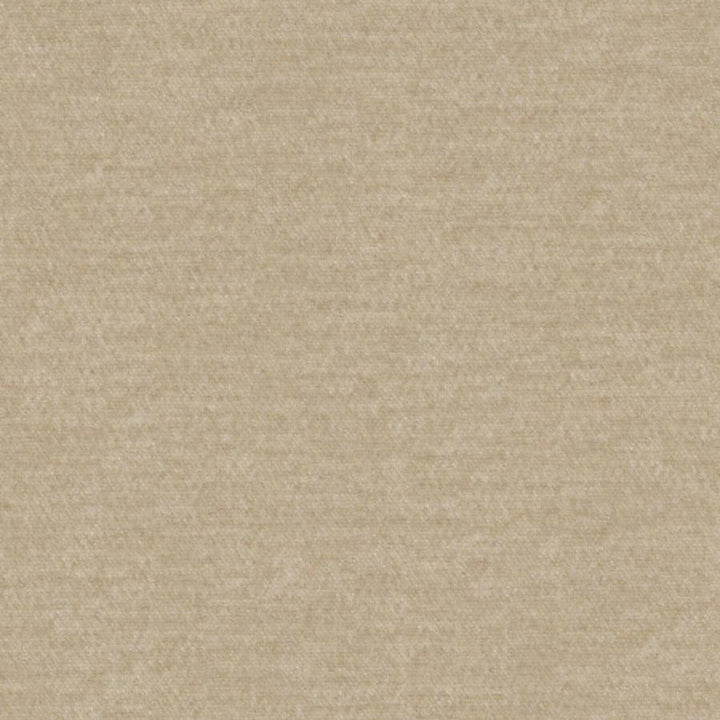 Calabria # 437 Dune by Maxwell Fabric Performance Velvets-Vol.Iv 51% ACRYLIC/44% POLYESTER/5% VISCOSE TURKEY 55.9" - Fabric Carolina -