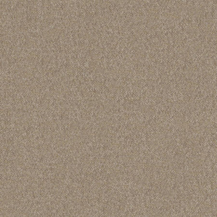 Calabria # 440 Funghi by Maxwell Fabric Performance Velvets-Vol.Iv 51% ACRYLIC/44% POLYESTER/5% VISCOSE TURKEY 55.9" - Fabric Carolina -