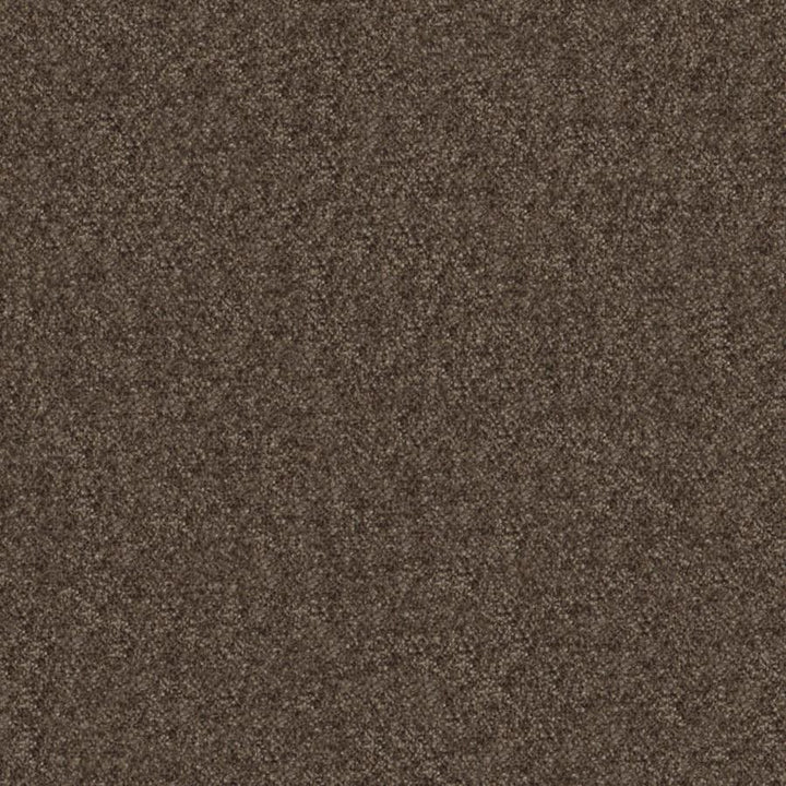 Calabria # 442 Beaver by Maxwell Fabric Performance Velvets-Vol.Iv 51% ACRYLIC/44% POLYESTER/5% VISCOSE TURKEY 55.9" - Fabric Carolina -