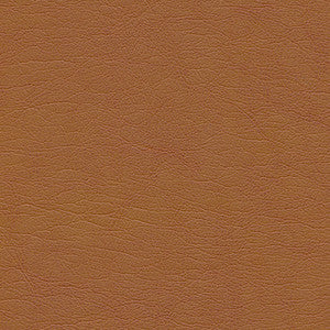 Capulet-Nj # 1267 Autumn by Maxwell Fabric