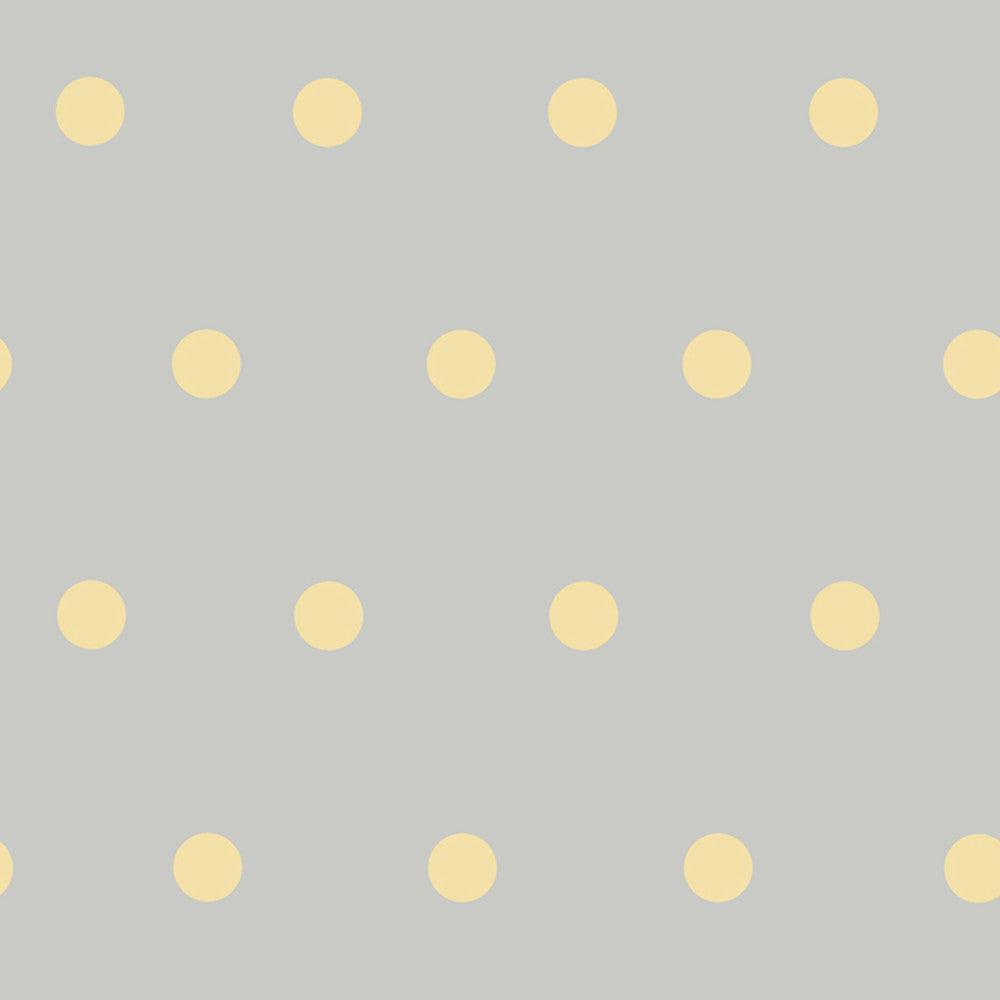 Kenley Peach Polka Dots Wallpaper by Chesapeake Christel Covers about 56.4 square feet 20.5-in by 33-ft long roll Prepasted 20.5 - Fabric Carolina -
